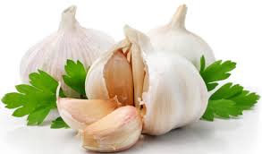 Garlic As A Supplement  pt. 1